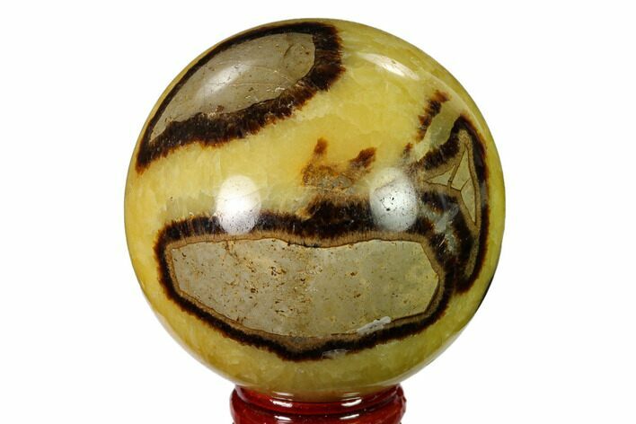 Polished Septarian Sphere - Madagascar #154137